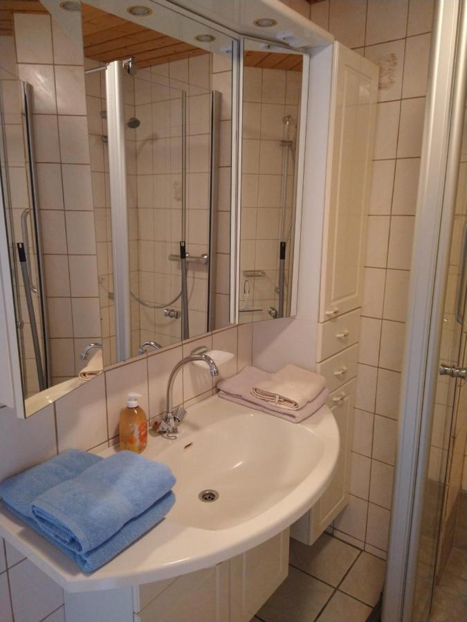 Haus Waldblick Ξενοδοχείο Hohegeiß Εξωτερικό φωτογραφία